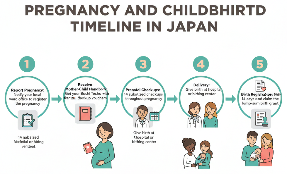 Timeline flowchart of pregnancy and childbirth steps in Japan