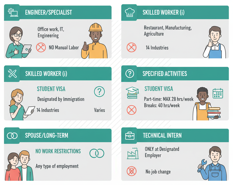 Infographic showing work visa categories and their permitted work activities